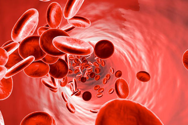 screening-anemia